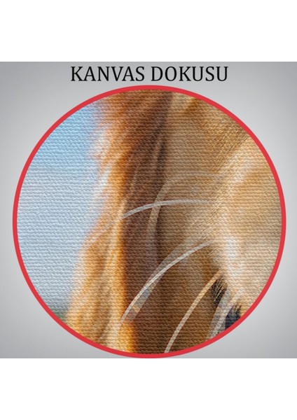 Köpek, Hayvan Temalı Dekoratif Kanvas Tablo, Duvar Dekoru 1130