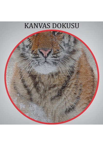 Karda Koşan Yavru Kaplan, Hayvan Temalı Dekoratif Kanvas Tablo, Duvar Dekoru 1135
