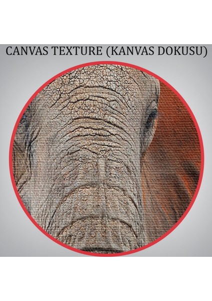 Fil, Hayvan Temalı Dekoratif Kanvas Tablo, Duvar Dekoru 1167
