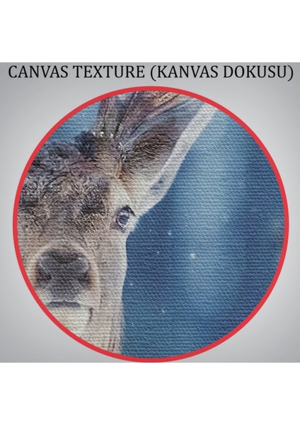 Geyik, Hayvan Temalı Dekoratif Kanvas Tablo, Duvar Dekoru 1168