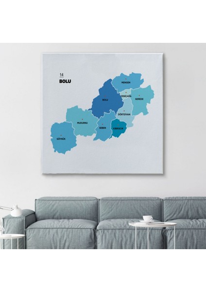 Il ve Ilçeler Haritası Bolu, Modern Dekoratif Kanvas Tablo, Duvar Dekoru 1302 fiyatları