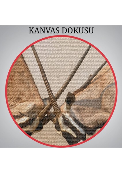 Antilop, Hayvan Temalı Dekoratif Kanvas Tablo, Duvar Dekoru 1117