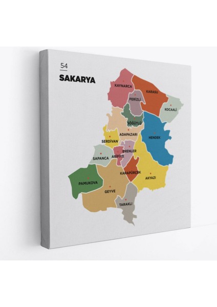 Il ve Ilçeler Haritası Sakarya, Modern Dekoratif Kanvas Tablo, Duvar Dekoru 1443