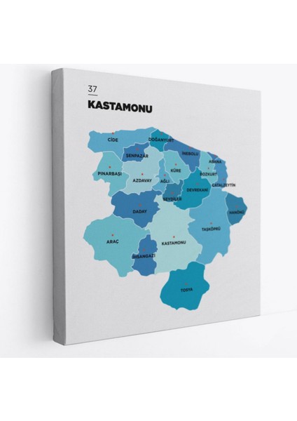Il ve Ilçeler Haritası Kastamonu, Modern Dekoratif Kanvas Tablo, Duvar Dekoru 1384