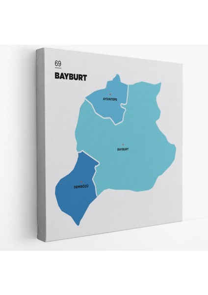Il ve Ilçeler Haritası Bayburt, Modern Dekoratif Kanvas Tablo, Duvar Dekoru 1290