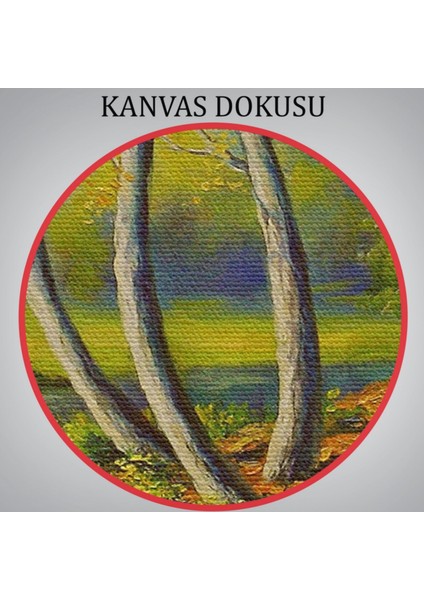 Yağlıboya Görünüm Nehir Manzarası Dekoratif Kanvas Tablo, Duvar Dekoru 3617