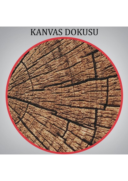 Ağaç Kütüğü Desen Dekoratif Kanvas Tablo, Duvar Dekoru 5076