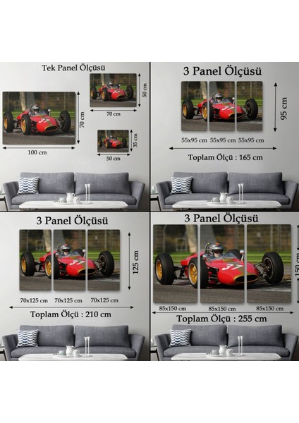 Heron Alfa Romeo F1 Sürücüsü Luigi Musso Tarihi Gp 2012 Imola Dekoratif Kanvas Tablo 3719 fırsatları