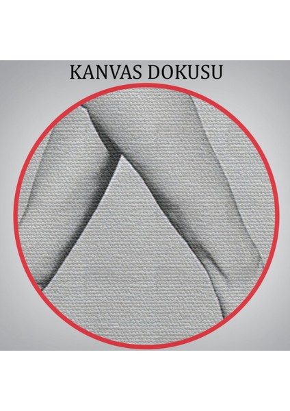 Sörfçü Çıplak Kadın Dekoratif Kanvas Tablo, Duvar Dekoru 5240