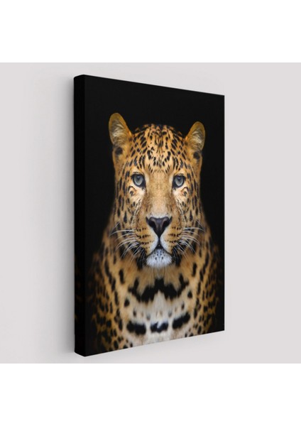 Leopar Hayvan Temalı Dekoratif Kanvas Tablo, Duvar Dekoru 5959