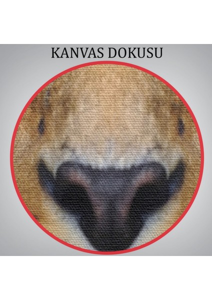 Leopar Hayvan Temalı Dekoratif Kanvas Tablo, Duvar Dekoru 5959