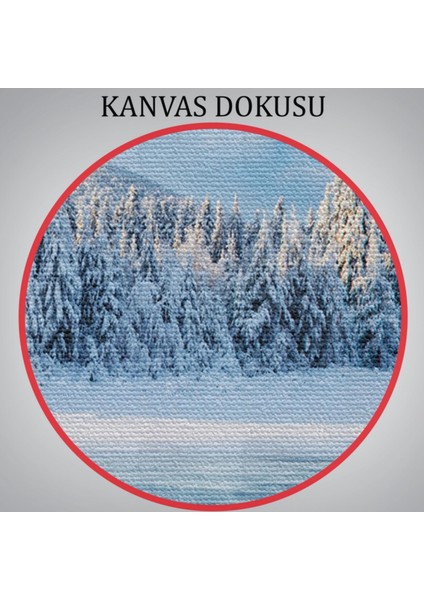 Ukrayna Donmuş Göl Dekoratif Kanvas Tablo, Duvar Dekoru 3537