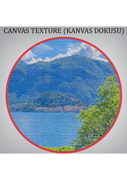 Çiçekler Arasındaki Göl Manzaralı Ev Dekoratif Kanvas Tablo, Duvar Dekoru 3673