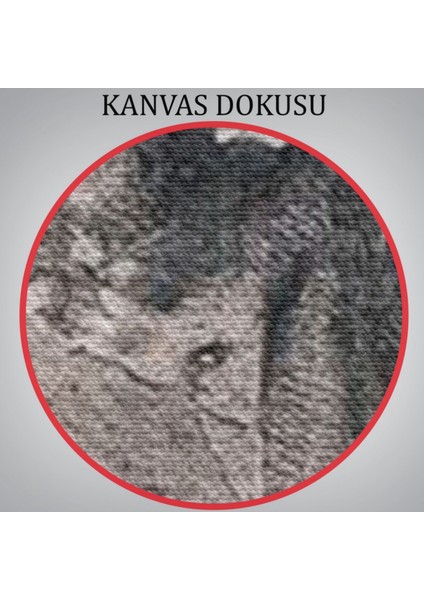 Mephistopheles'in Gökyüzündeki Önsözü Goethe Dekoratif Kanvas Tablo, Duvar Dekoru 5301