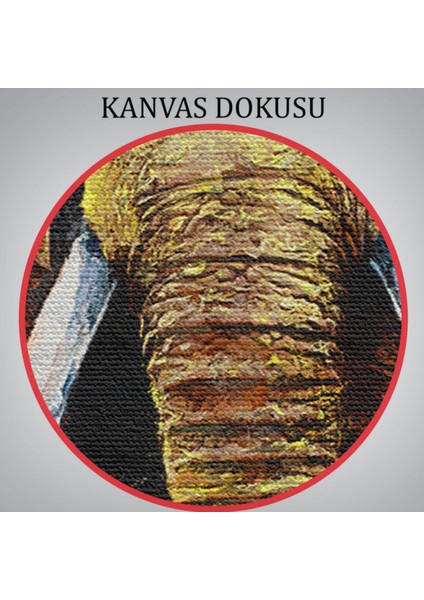 Yağlıboya Görünüm Modern Fil Dekoratif Kanvas Tablo, Duvar Dekoru 5839