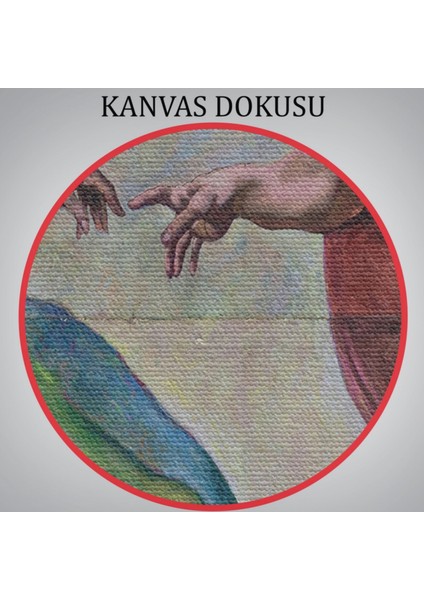 Yaratılışı Tanrının Eli Eseri Dekoratif Kanvas Tablo, Duvar Dekoru 5186