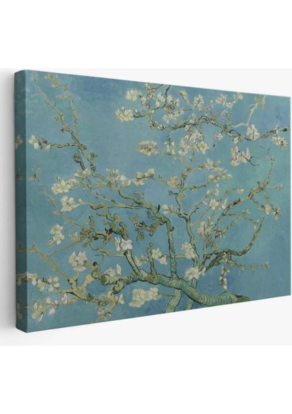 Badem Ağacı Eseri Blossoming Almond Tree Van Gogh Dekoratif Kanvas Tablo, Duvar Dekoru 5164