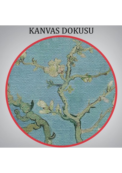 Badem Ağacı Eseri Blossoming Almond Tree Van Gogh Dekoratif Kanvas Tablo, Duvar Dekoru 5164