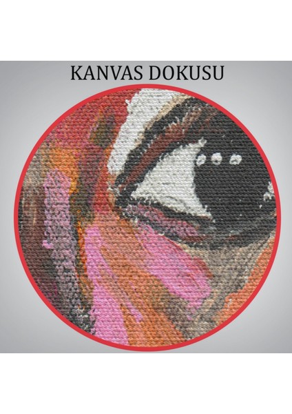 Pop Art Afrikalı Kadın Portresi Dekoratif Kanvas Tablo, Duvar Dekoru 6004