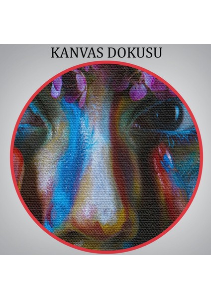 Renkli Çiçek Taçlı Kız Dekoratif Kanvas Tablo, Duvar Dekoru 2992