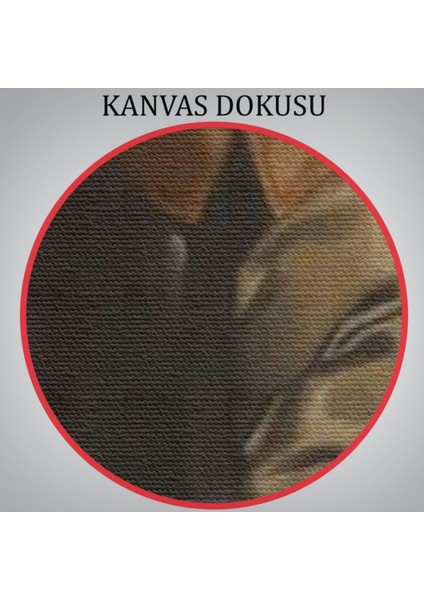 Mustafa Kemal Atatürk Tarlada Dekoratif Kanvas Tablo, Duvar Dekoru 6132