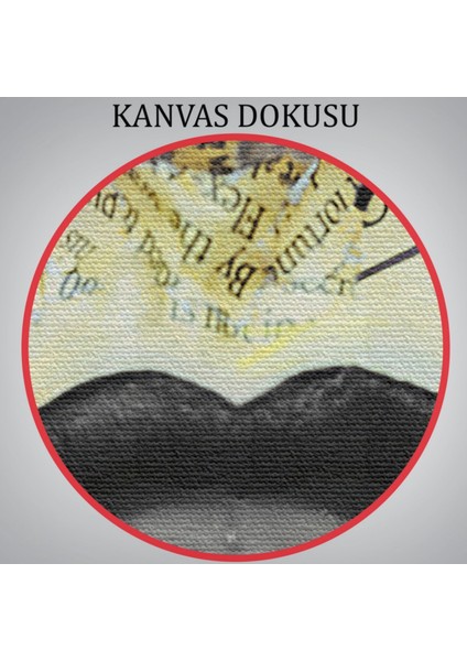 Güzel Kızın Yakın Çekim Portresi ve Fermuar Makyajı Dekoratif Kanvas Tablo, Duvar Dekoru 4973