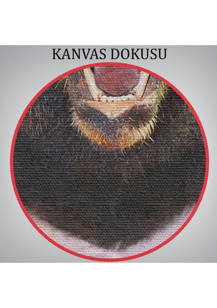 Insan Görünümlü Ayı Dekoratif Kanvas Tablo, Duvar Dekoru 4988
