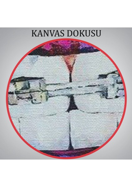 Grafiti Popart Diş Teli ve Renkli Dudaklar Dekoratif Kanvas Tablo, Duvar Dekoru 6651