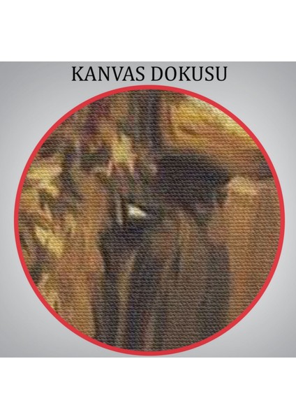 Ispanyol Matador Modern Dekoratif Kanvas Tablo, Duvar Dekoru 6250