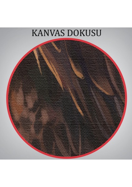 Kartal Hayvan Temalı Dekoratif Kanvas Tablo, Duvar Dekoru 5961