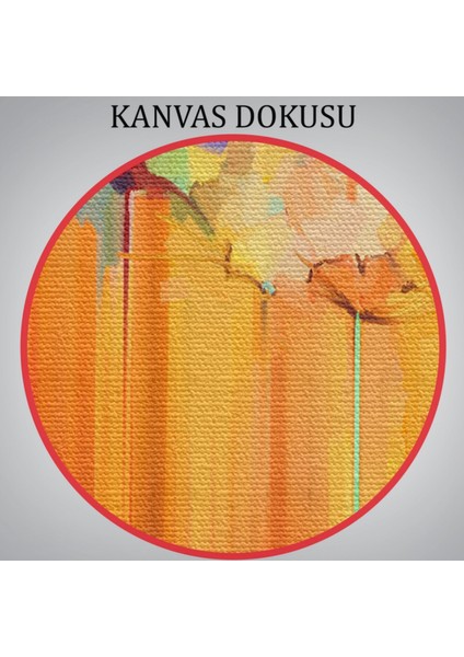Yağlıboya Görünüm Çiçekler Soyut Çalışma Dekoratif Kanvas Tablo, Duvar Dekoru 3541