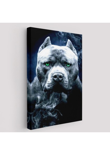 Yeşil Gözlü Amerikan Bully Köpek Dekoratif Kanvas Tablo, Duvar Dekoru 5259