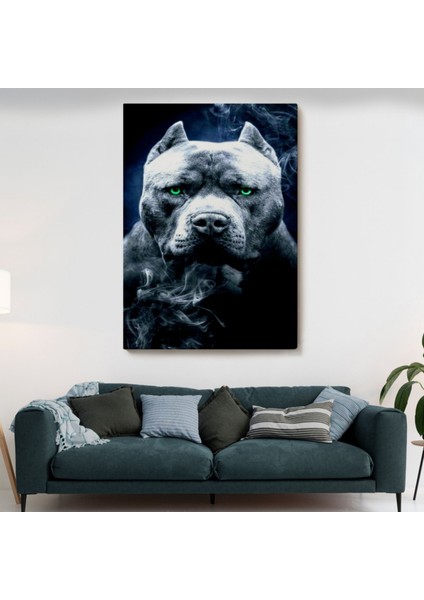 Yeşil Gözlü Amerikan Bully Köpek Dekoratif Kanvas Tablo, Duvar Dekoru 5259 fiyatları