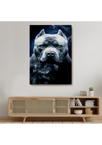 Yeşil Gözlü Amerikan Bully Köpek Dekoratif Kanvas Tablo, Duvar Dekoru 5259 modelleri