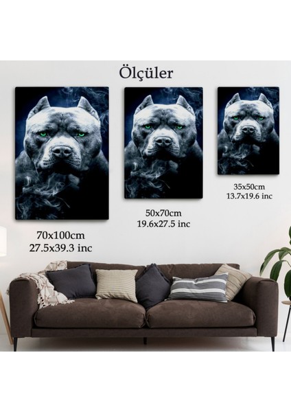 Yeşil Gözlü Amerikan Bully Köpek Dekoratif Kanvas Tablo, Duvar Dekoru 5259 fırsatları