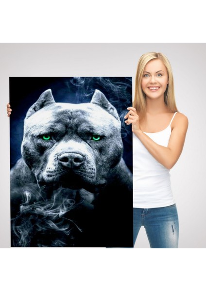 Yeşil Gözlü Amerikan Bully Köpek Dekoratif Kanvas Tablo, Duvar Dekoru 5259