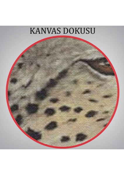 Sosyetik Çita Çiçek Taç ile Dekoratif Kanvas Tablo, Duvar Dekoru 6213