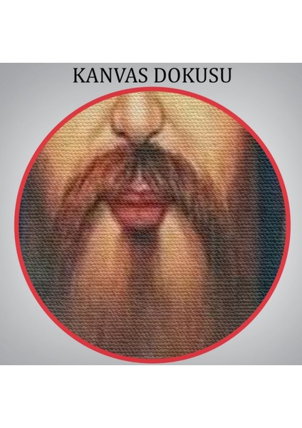 Hz Isa Kilise Hediyesi Jesus Christ Dekoratif Kanvas Tablo, Duvar Dekoru 6387