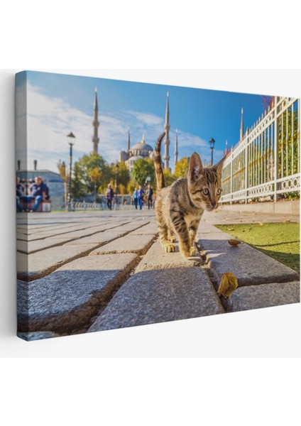 Sultan Ahmet Camii ve Yavru Kedi Dekoratif Kanvas Tablo, Duvar Dekoru 6507