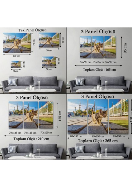 Sultan Ahmet Camii ve Yavru Kedi Dekoratif Kanvas Tablo, Duvar Dekoru 6507 modelleri