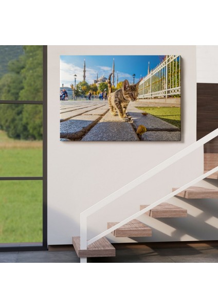 Sultan Ahmet Camii ve Yavru Kedi Dekoratif Kanvas Tablo, Duvar Dekoru 6507 fırsatları