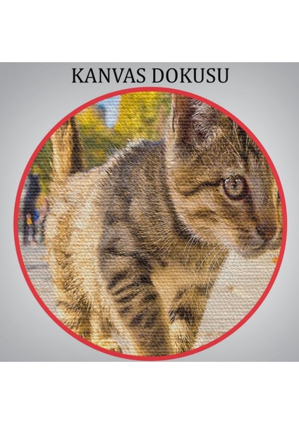 Sultan Ahmet Camii ve Yavru Kedi Dekoratif Kanvas Tablo, Duvar Dekoru 6507 indirimleri