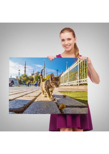 Sultan Ahmet Camii ve Yavru Kedi Dekoratif Kanvas Tablo, Duvar Dekoru 6507