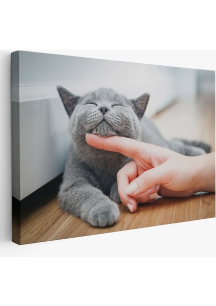 Sevimli Kedi Tablosu Dekoratif Kanvas Tablo, Duvar Dekoru 6505