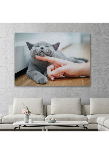Sevimli Kedi Tablosu Dekoratif Kanvas Tablo, Duvar Dekoru 6505 fiyatları
