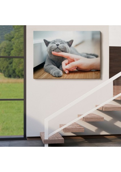 Sevimli Kedi Tablosu Dekoratif Kanvas Tablo, Duvar Dekoru 6505 fırsatları