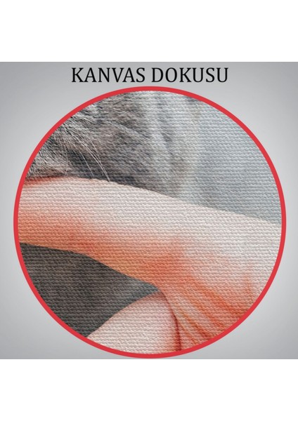 Sevimli Kedi Tablosu Dekoratif Kanvas Tablo, Duvar Dekoru 6505 indirimleri