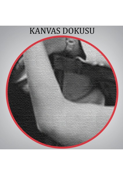 Arthur Miller ve Marilyn Monroe Cesur Pozu Dekoratif Kanvas Tablo, Duvar Dekoru 6063