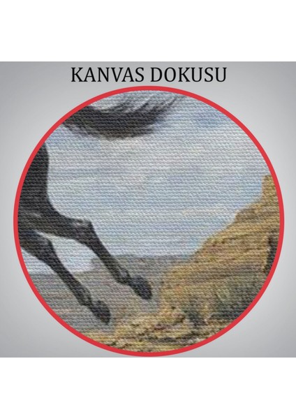 Kovboy ve At Dekoratif Kanvas Tablo, Duvar Dekoru 6537