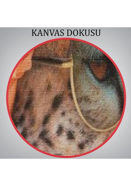 Turuvalı Helen ve Güzelliği Dekoratif Kanvas Tablo, Duvar Dekoru 6484